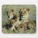 Recherche de le botswana tapis souris Horizontal