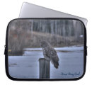Zoek naar uilen laptop sleeves Wild