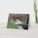 Recherche de sibériennes de chat cartes vœux cartes Chats