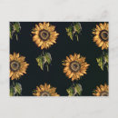 Recherche de velours cartes postales Floral