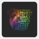 Recherche de yeux de chien autocollants Pitbull