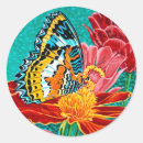 Zoek naar regenboog vlinder stickers Insecten