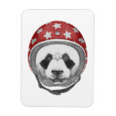 Recherche de casque moto magnets Mignon