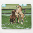 Zoek naar twee paarden muismatten Dier