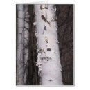 Zoek naar berk briefkaarten Kerstmis