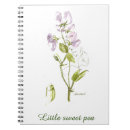 Recherche de fleur de pois doux Bébé