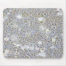 Recherche de expérience tapis souris Biologie