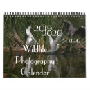 Zoek naar fotografie kalenders Kolibrie