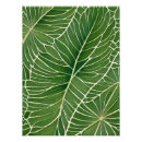 Recherche de feuille vert posters Aquarelle