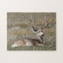 Recherche de mâle puzzles Pour amateur de cerfs