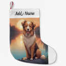 Recherche de colley chaussette de noël Chiens