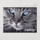 Recherche de mignon cartes postales Salutations