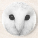 Recherche de volaille dessous de verres Hibou