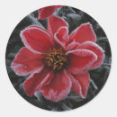 Recherche de dahlia autocollants Fleurs