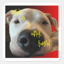 Recherche de funny animal autocollants Pour tous