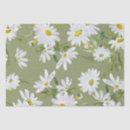 Recherche de white daisy Marguerite blanche
