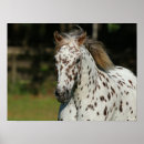 Zoek naar spotty kunst Bob langrish