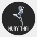Recherche de thai autocollants Puissance de frappe explosive