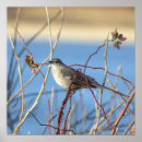 Recherche de industrie posters Photographie