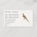 Recherche de pigeons cartes visite Illustration
