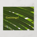 Recherche de broche cartes postales Vert