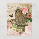 Recherche de hibou chic cartes postales Shabby
