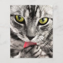 Recherche de ferme prospectus Animal