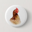 Recherche de poule rouge badges Poulets