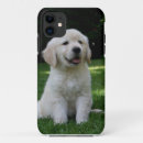 Recherche de arête mobile Chien d'arrêt