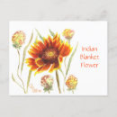 Recherche de indiens cartes postales Aquarelle