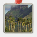 Recherche de bora bora ornements Palmier