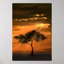Recherche de arbre de coucher du soleil posters Nuages
