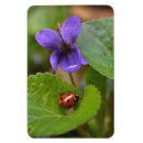 Zoek naar ladybug magneten Ladyvogel