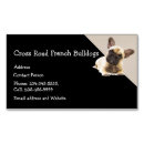 Recherche de dog visite magnets Logo