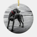 Zoek naar weimaraner ornamenten Rood