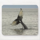 Recherche de ak tapis souris Alaska