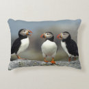 Recherche de macareux coussins Faune