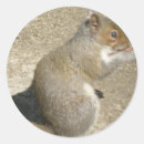 Recherche de affamé autocollants Animaux