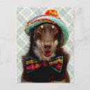 Zoek naar bowtie briefkaarten Schattig
