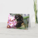 Zoek naar bezige kaarten Bloemen