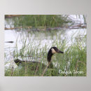 Recherche de le canada posters Photographie