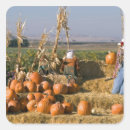 Recherche de foin autocollants Chute