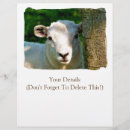 Recherche de ferme prospectus Animaux de ferme