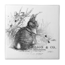 Recherche de lapins carreaux Ferme