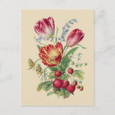 Zoek naar tulp vintage briefkaarten Natuur
