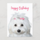 Recherche de douceur cartes postales Mignon