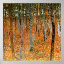 Recherche de hêtre posters Forêt