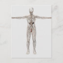 Recherche de thoracique cartes postales Transparent
