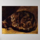 Zoek naar franse katten posters Schattig