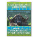 Recherche de buffle africain cartes postales Animal